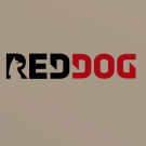 Red Dog Casino Review 2022