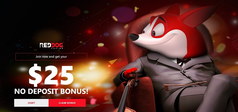 free play online casino slots real win