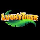Lucky Tiger Casino Review 2022