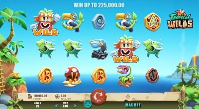 Tropical Wilds Slot Game - Rabcat Games and Online Casinos
