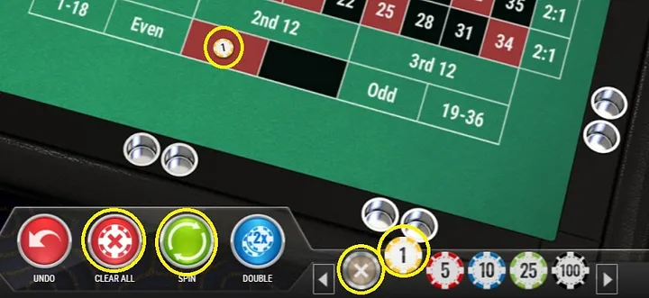 How to Play European Roulette - Placing Bets